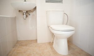 Ремонт унитаза