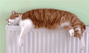 Покраска батарей акриловой краской