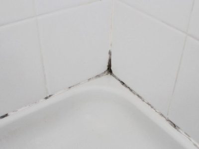 Проблема появления плесени в ванной